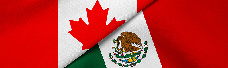 Are Online Canadian Pharmacies Safer than Mexican Online Pharmacies?