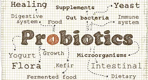5 De los mejores Probióticos para aliviar el SII