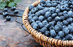 Blueberries