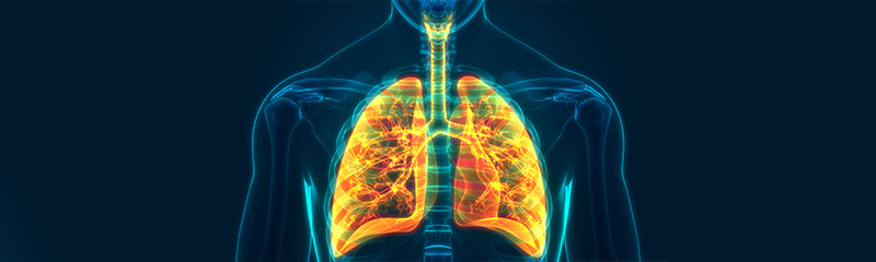 how to get rid of fungal infection in lungs