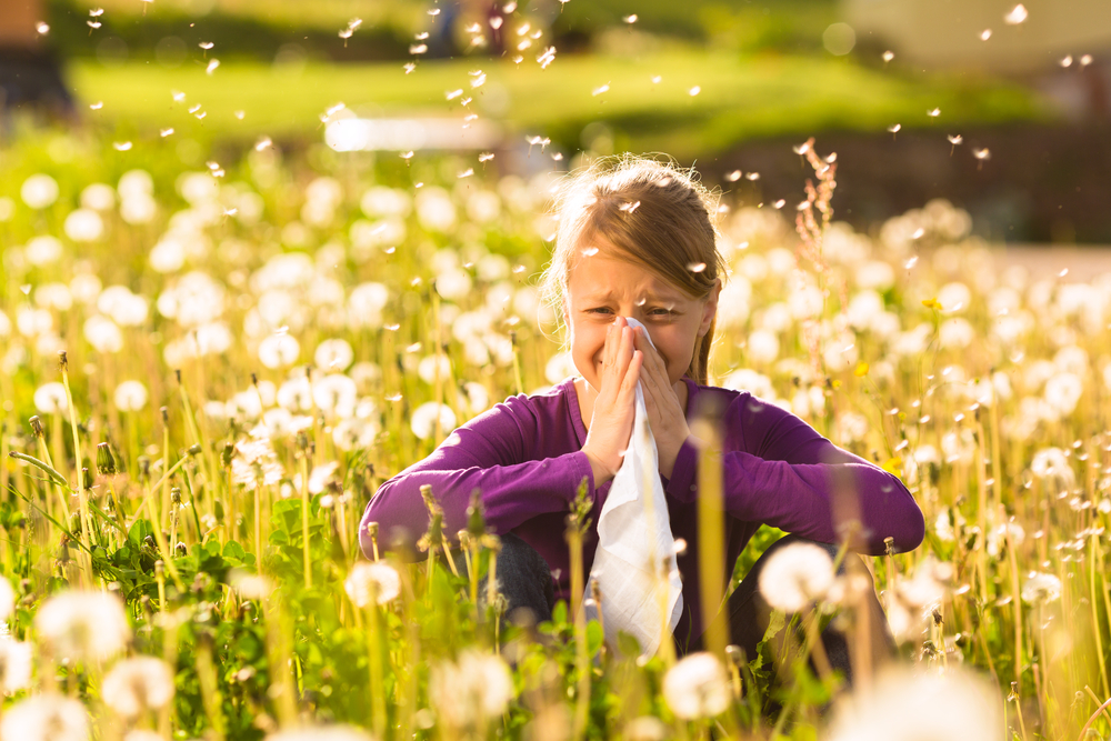 Las Alergias de Verano – Causas y Tratamientos