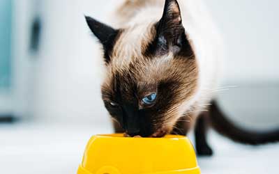 nupro health nuggets for cats