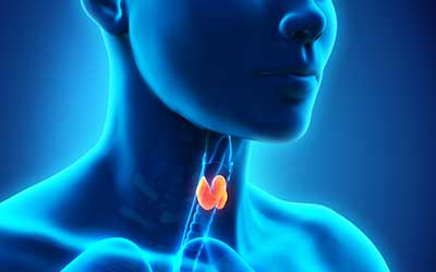 Thyroid Medicine